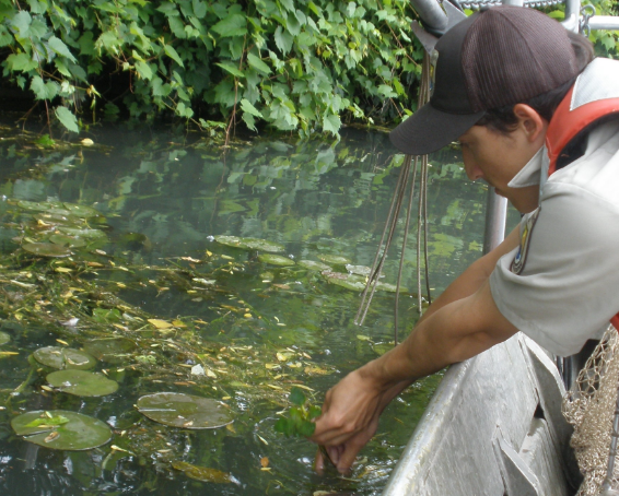 使用光度計(jì)檢測(cè)魚塘水質(zhì)